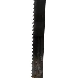 bandsaw blade.webp